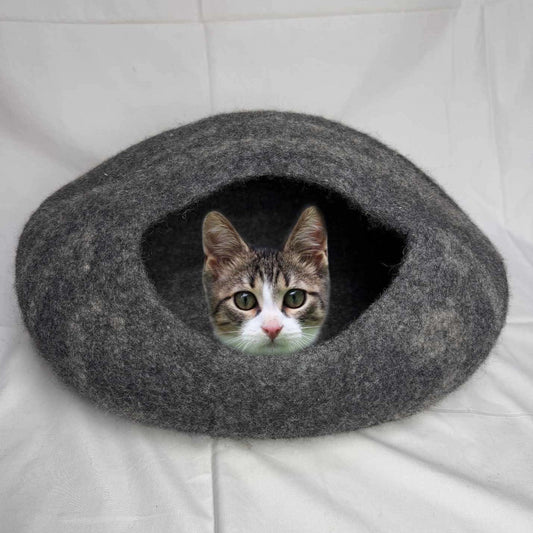 cat-sitting-inside-cat-cave