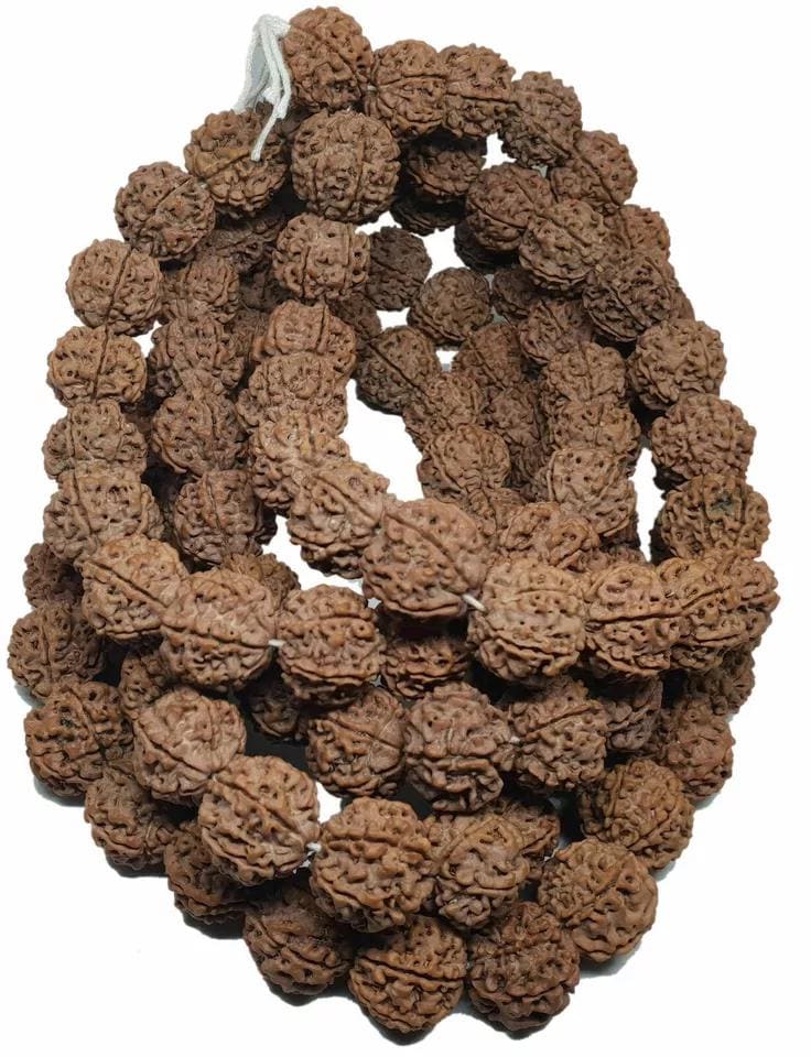 Rudraksha Mala Jaapa Beads , Rudraksha 108 +1 Meditation Mala , Nepali 5 Mukhi Rudraksha Loose Beads