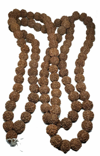 Rudraksha Mala Jaapa Beads , Rudraksha 108 +1 Meditation Mala , Nepali 5 Mukhi Rudraksha Loose Beads