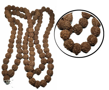 Rudraksha Mala Jaapa Beads , Rudraksha 108 +1 Meditation Mala , Nepali 5 Mukhi Rudraksha Loose Beads