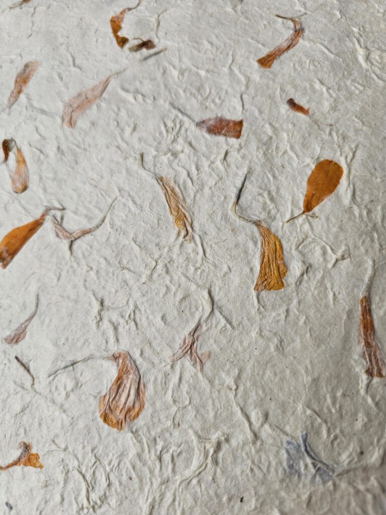 Marigold Petal Mix - Handmade paper A4 - Pack of 20 sheets