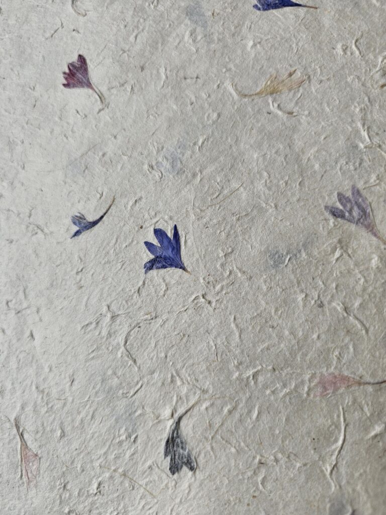 Blue Petal Mix - Handmade paper A4 - Pack of 20 sheets