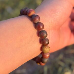 Elephant Jasper Natural Gemstone Bracelet in left hand