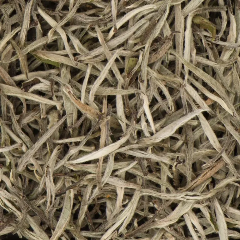 Silver Needle