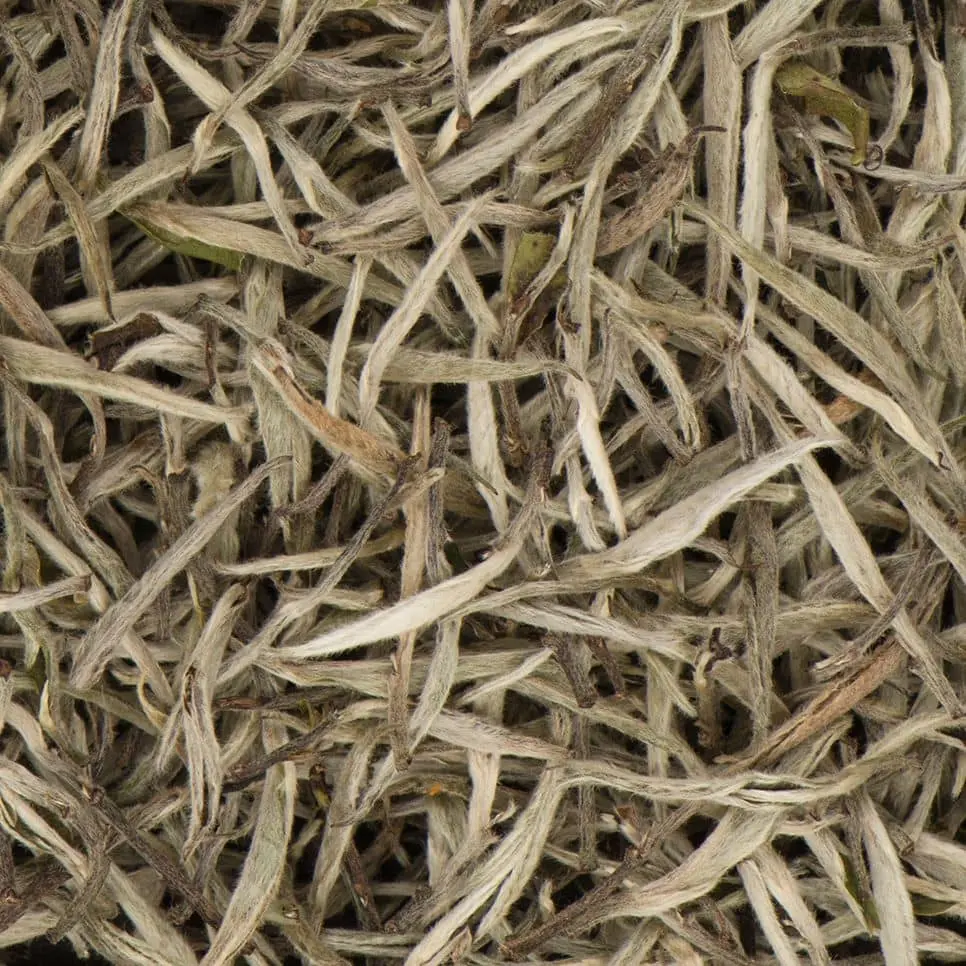 Silver Needle